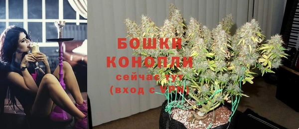гашик Беслан