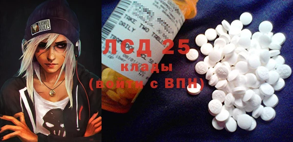 гашик Михайловск