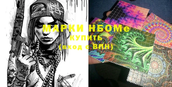 прущие грибы Билибино