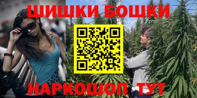 индика Шебекино