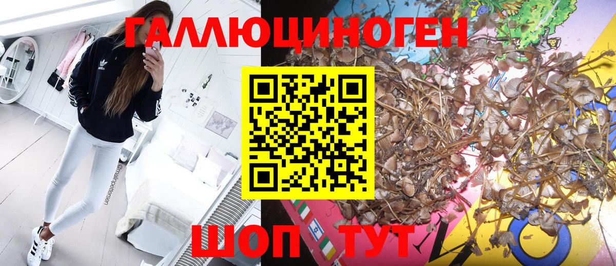 Юрга  Галлюциногенные грибы MAGIC MUSHROOMS  Вход с VPN  Галлюциногенные грибы Cubensis 