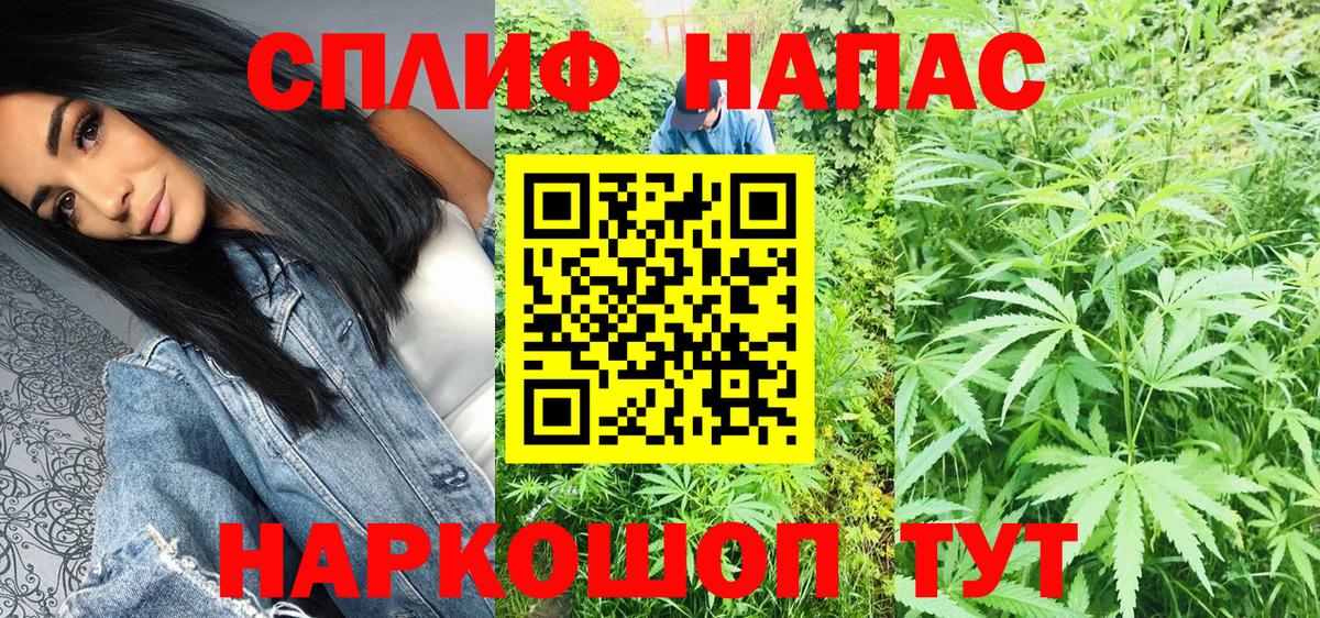 Бошки Шишки Amnesia Юрга